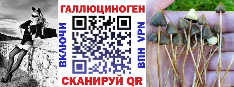 OMG маркетплейс  мориарти наркотические препараты  Уссурийск  Галлюциногенные грибы Psilocybine cubensis  продажа наркотиков 