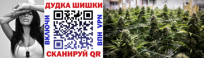 где купить   Уссурийск  Канабис SATIVA & INDICA 
